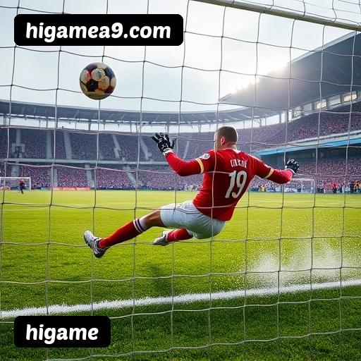 Recursos Exclusivos do App higame - Modo Offline, Login Biométrico